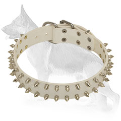 White Leather German Shepherd Collar Spiked in 2 Rows