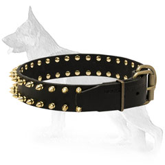 Leather German Shepherd Collar Decorated with Shining Brass Spikes