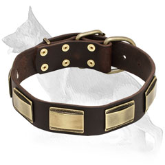 Leather German Shepherd Collar with Decorative Brass Plates