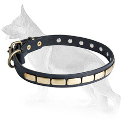 Riveted Leather German Shepherd Collar with Brass Hardware and Plates