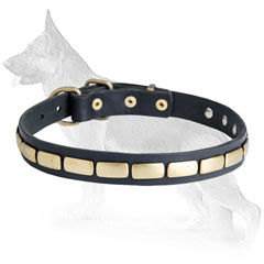 Leather German Shepherd Collar with Slide Brass Plates