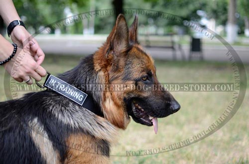 German Shepherd Collar Nylon For Security Work