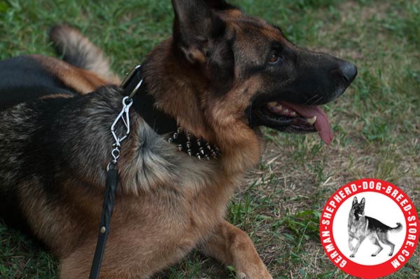 Adjustable Leather German Shepherd Collar for Safe Walking