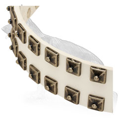 White German Shepherd Collar Strap with 2 Rows Square Studs