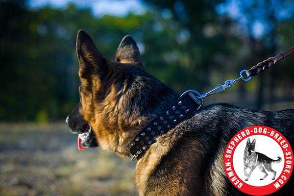 Decorated Leather German Shepherd Collar for Comfortable Walking