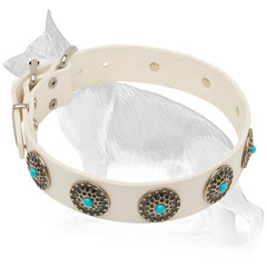 White Leather German Shepherd Collar with Circles and Blue Stones