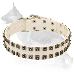 White Leather German Shepherd Collar Decorated with Studs