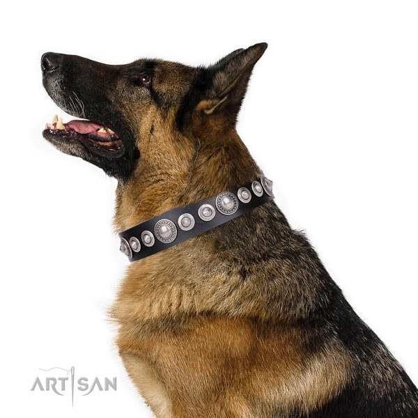 Trendy embellished natural leather dog collar for stylish walking