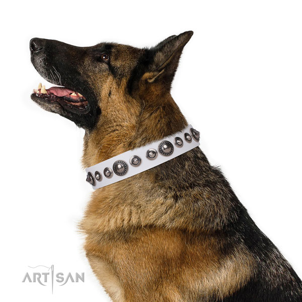 Designer studded leather dog collar for basic training