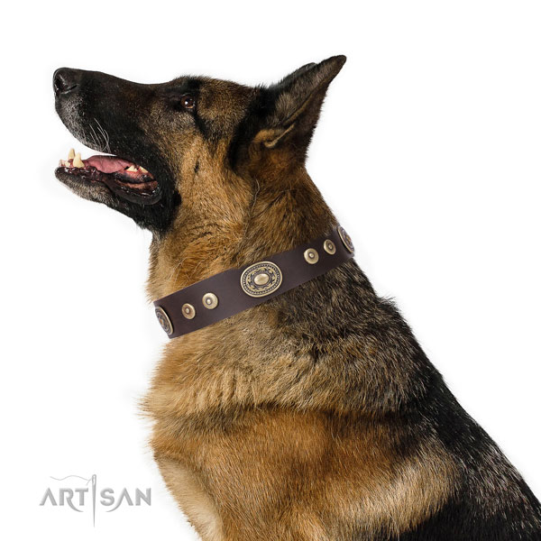 Unique decorated genuine leather dog collar for everyday walking