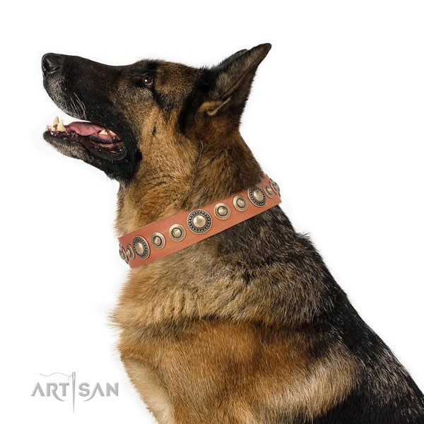 Rust-proof buckle and D-ring on full grain leather dog collar for walking in style