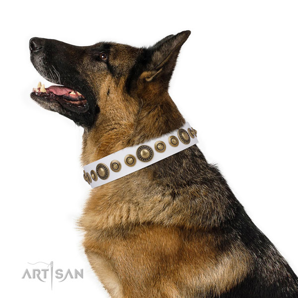 Rust resistant buckle and D-ring on genuine leather dog collar for everyday walking