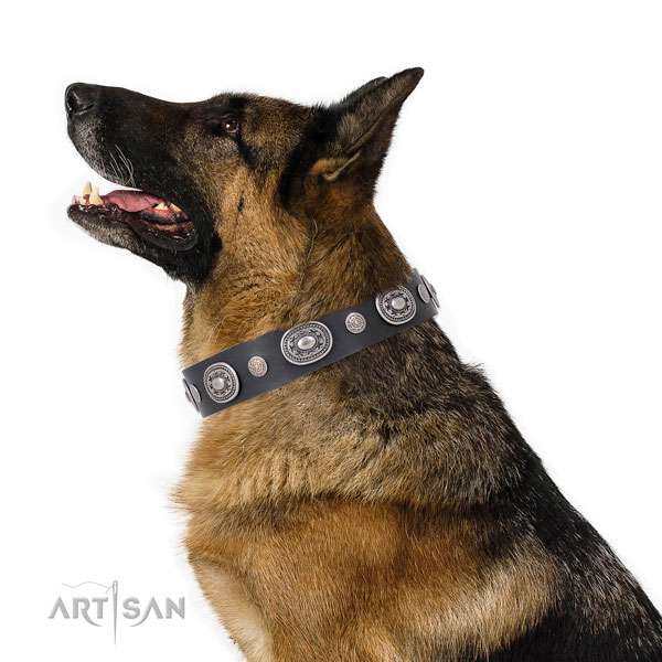 Durable buckle and D-ring on leather dog collar for walking