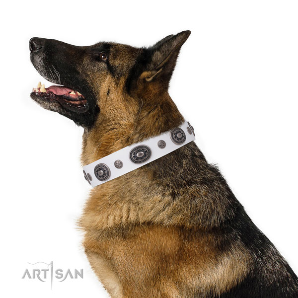 Full grain leather dog collar with rust-proof buckle and D-ring for everyday use
