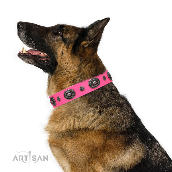 Full grain leather dog collar with rust-proof buckle and D-ring for comfy wearing
