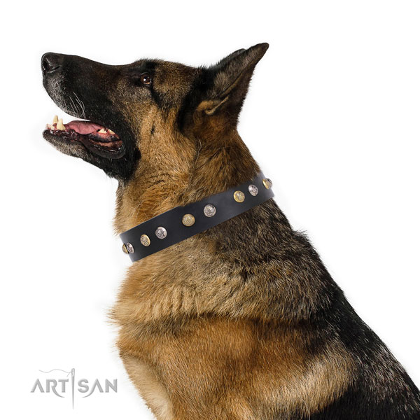 Genuine leather dog collar with corrosion resistant buckle and D-ring for handy use