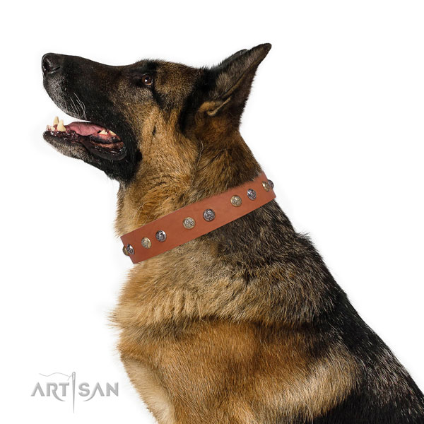 Genuine leather dog collar with rust resistant buckle and D-ring for everyday use