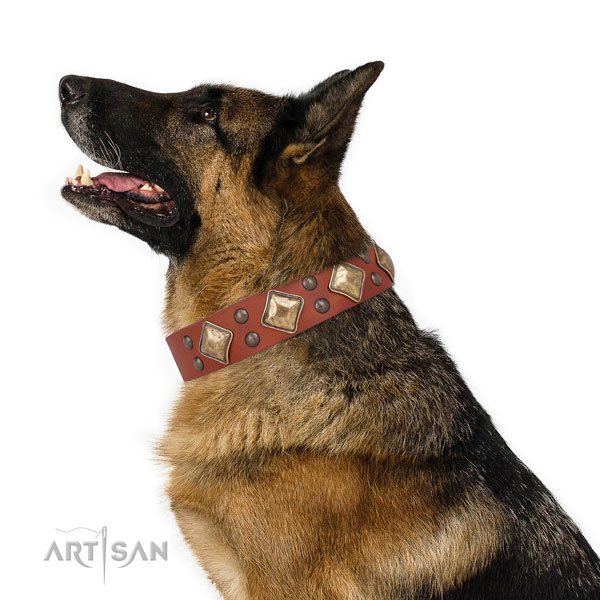 Daily walking adorned dog collar made of reliable leather