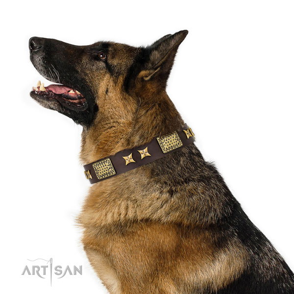 Handy use dog collar with exquisite studs