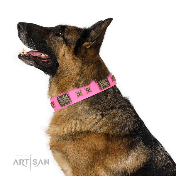Extraordinary decorations on daily walking full grain leather dog collar