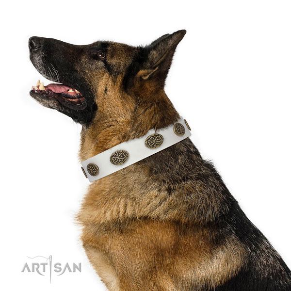 Inimitable studs on walking genuine leather dog collar