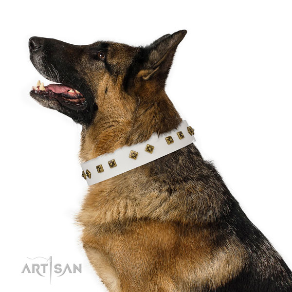 Remarkable embellishments on basic training dog collar