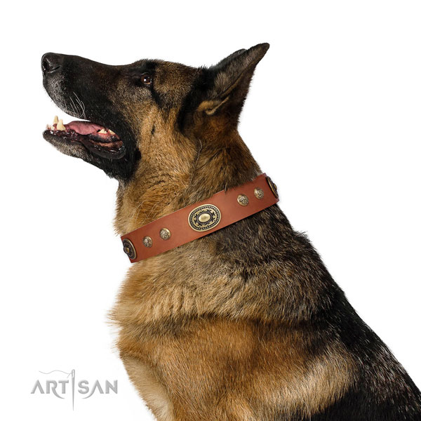 Top notch embellishments on everyday use dog collar