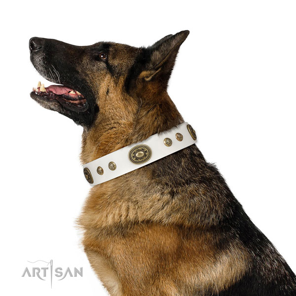 Trendy decorations on handy use dog collar