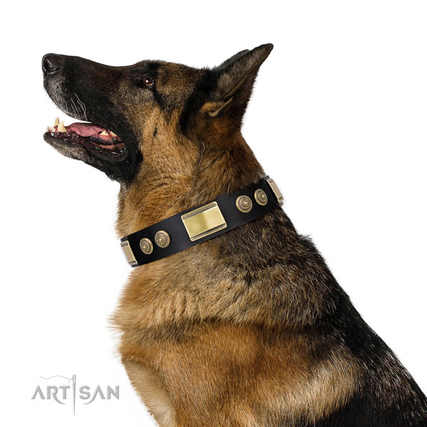 Unusual adornments on basic training dog collar