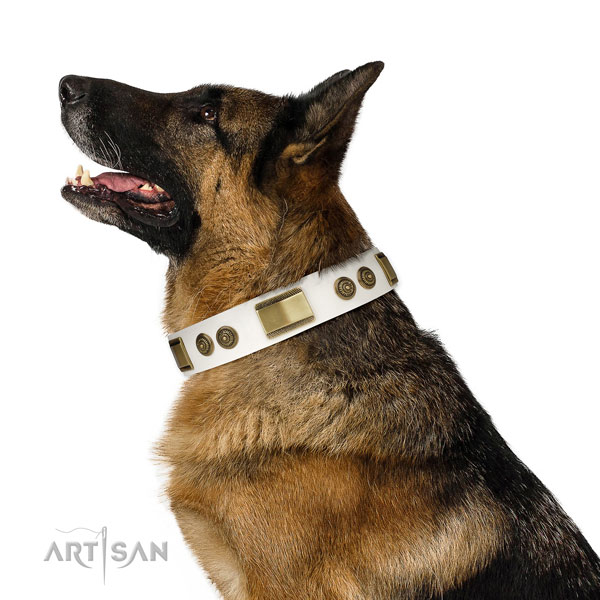 Durable easy wearing dog collar of natural leather
