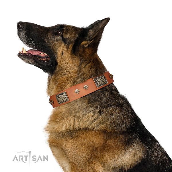 Easy wearing dog collar of genuine leather with extraordinary decorations