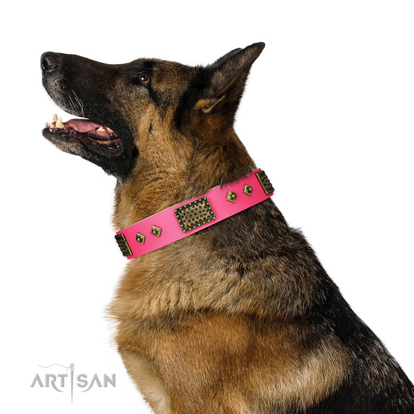 Easy to adjust leather collar for your impressive doggie