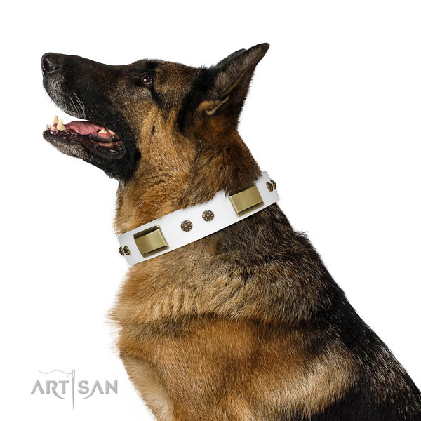Basic training dog collar of leather with stunning decorations