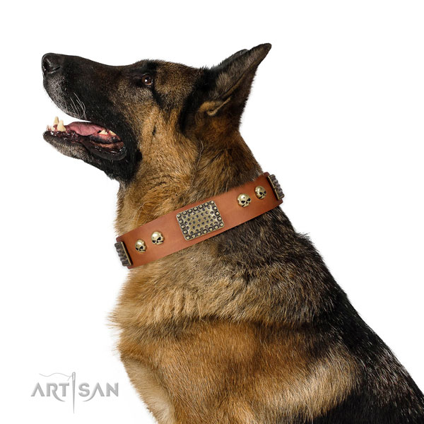 Corrosion proof D-ring on full grain leather dog collar for daily use