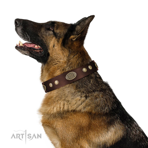 Rust-proof fittings on genuine leather dog collar for fancy walking