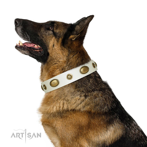 Everyday use dog collar of leather with awesome embellishments