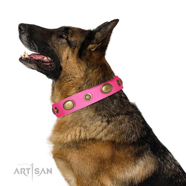 Daily walking dog collar of leather with fashionable decorations