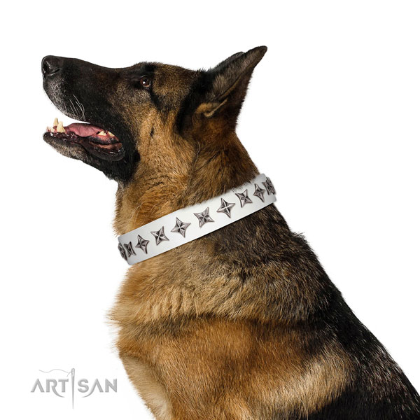 High quality full grain genuine leather dog collar with remarkable decorations