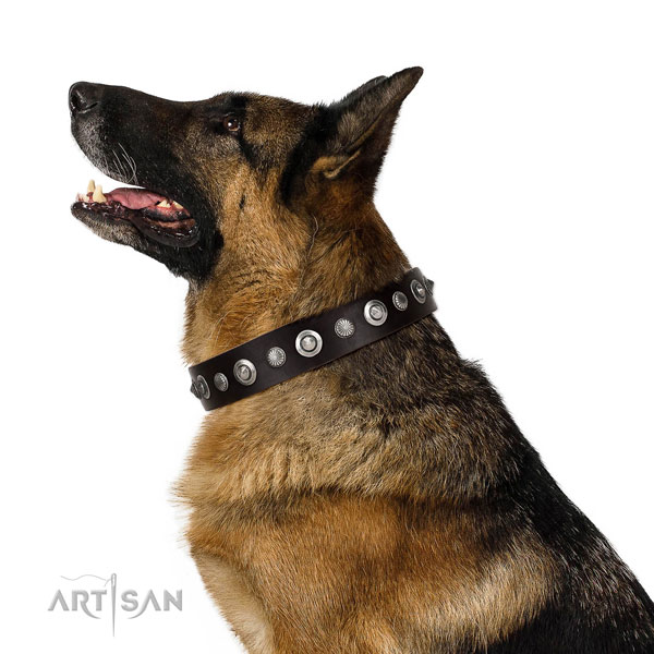 Fine quality full grain genuine leather dog collar with stunning embellishments
