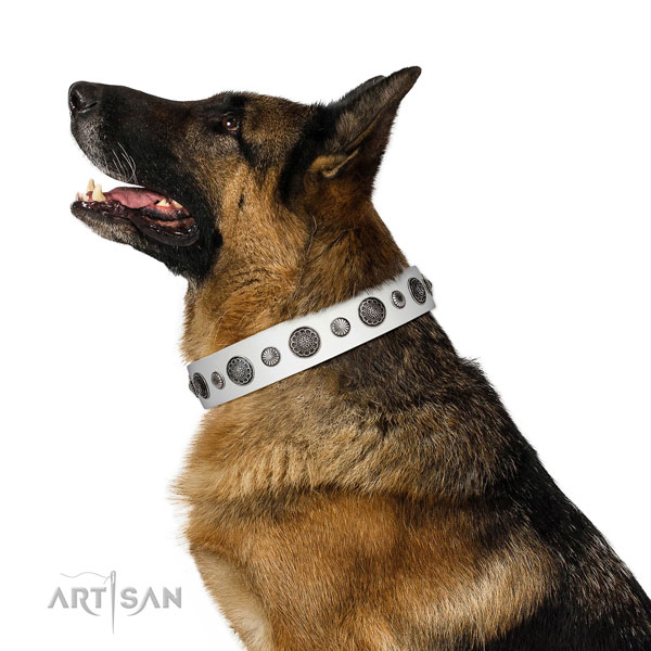 Top quality Full grain natural leather dog collar with corrosion proof traditional buckle