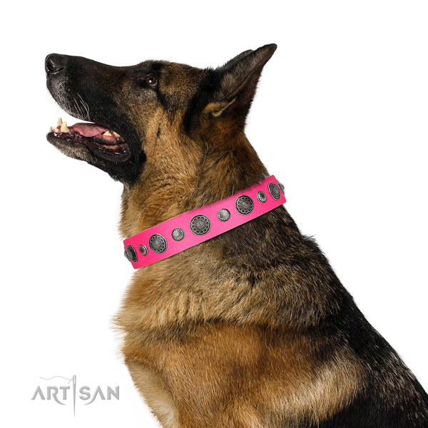 Easy to adjust genuine leather dog collar with rust-proof fittings
