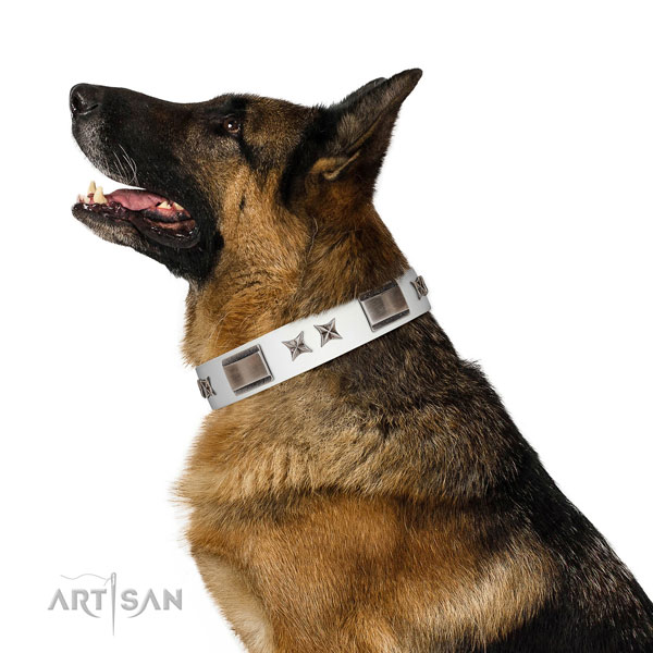 Incredible collar of full grain natural leather for your beautiful doggie