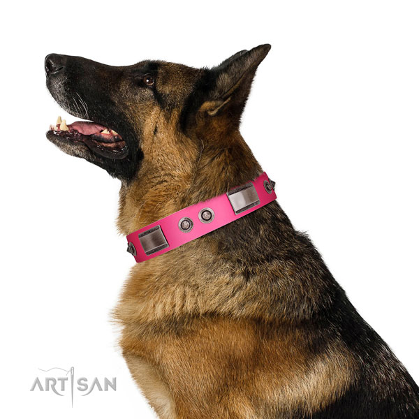 Stunning natural leather dog collar with adornments