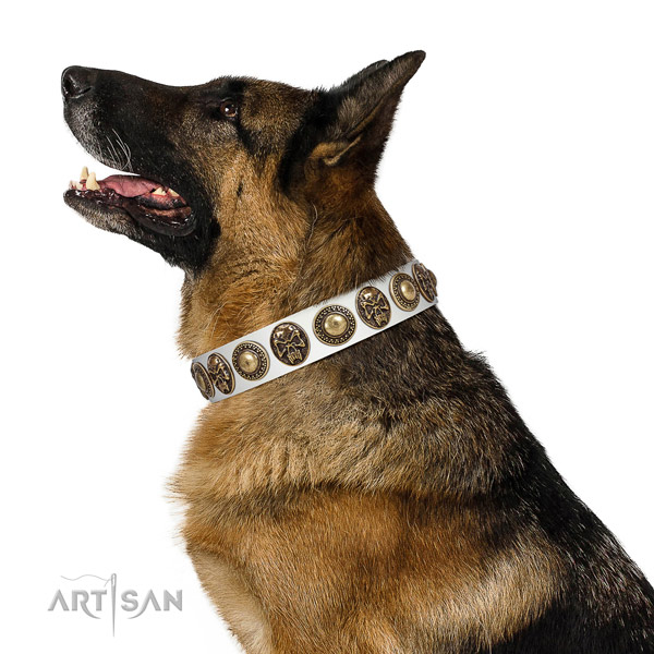 Easy adjustable genuine leather collar for your lovely pet