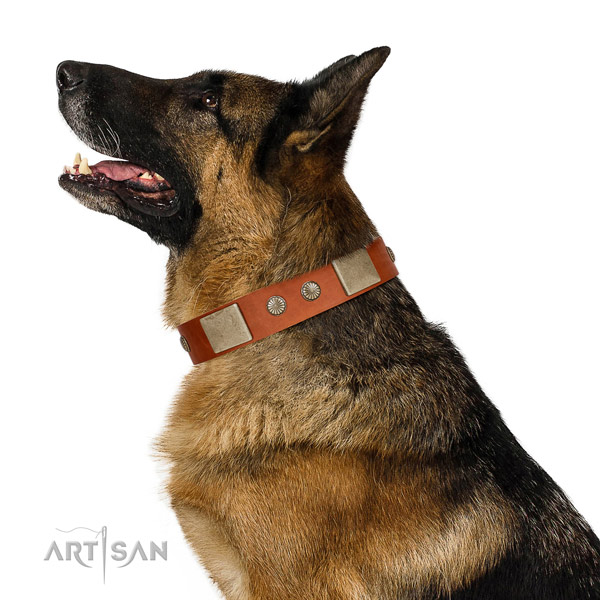 Easy to adjust full grain natural leather collar for your lovely dog