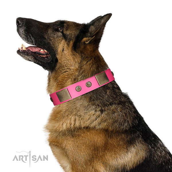 Durable fittings on natural leather dog collar for basic training