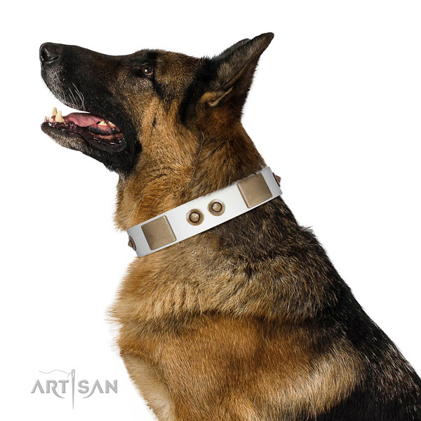 Daily walking dog collar of genuine leather with exquisite decorations