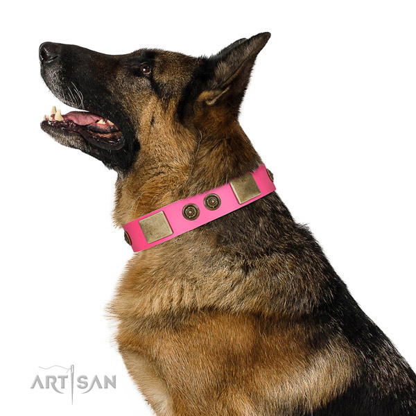 Embellished dog collar handcrafted for your stylish dog