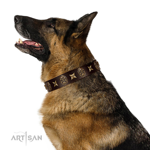 Comfortable wearing dog collar of natural leather with exquisite decorations