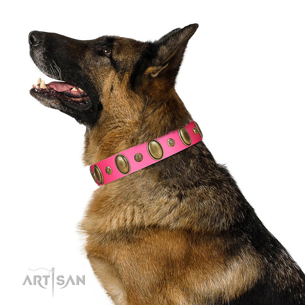 Everyday use soft to touch leather dog collar with studs